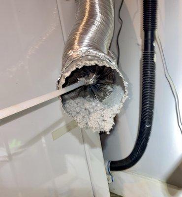 Dryer lint removal