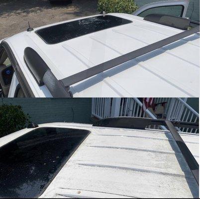 Mold growing on a untouched roof