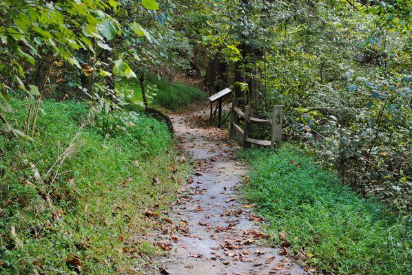 Quaint wooded walk along Textile Heritage Trail