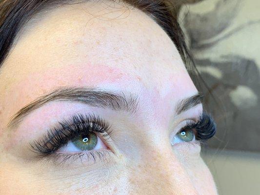 Volume lashes