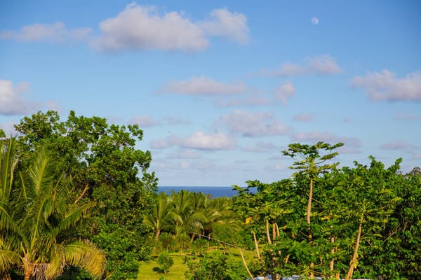 View from the meditation pavilion