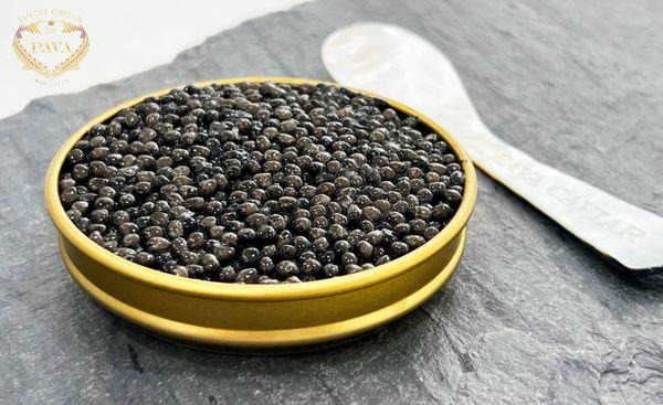 Sturgeon Caviar Persicus