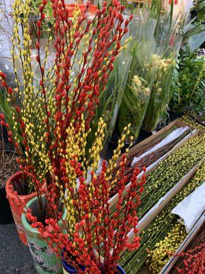 Hoa Têt Lunar New Year Red & Yellow Pussy Willow Branches