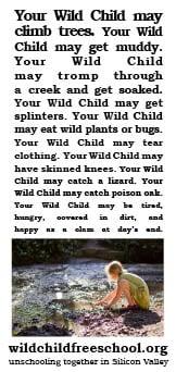 Wild Child Freeschool