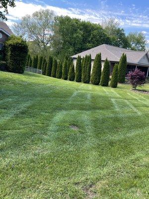 Lawn mowing services in Clarksville,TN