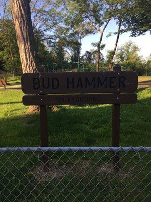 Bud Hammer Playground