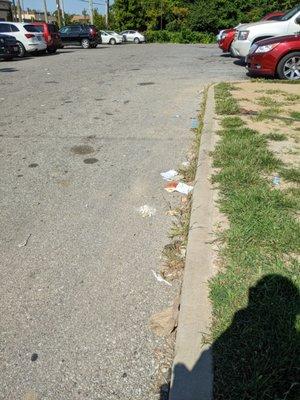 Family Dollar (Enright/Kingshighway) - exterior littered