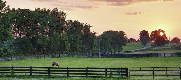 Rose Clover Farm provides superior services and materials for both horses and riders. Our unique facility is designed to appeal to the entir