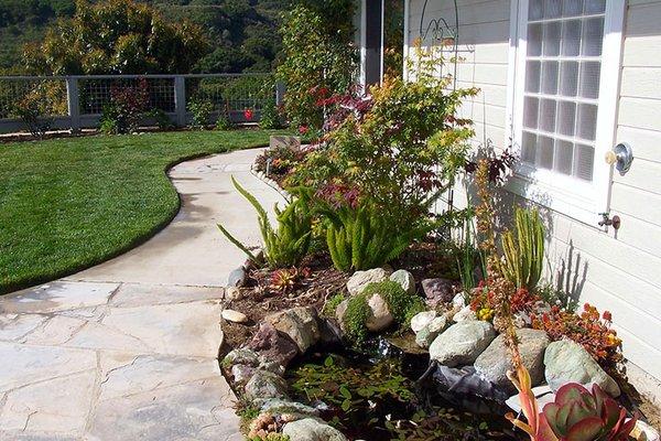 Pond and Plants along a Flagstone Pathway