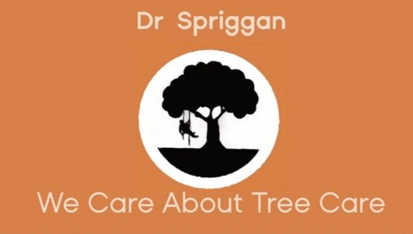 Dr Spriggan 
We Care About Tree Care