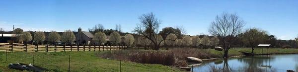 Panorama of the event venue