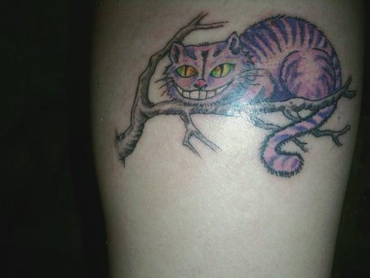 The Cheshire Cat from Alice in Wonderland - drawing from the novel, colors from the Disney movie