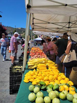 Squash def in season