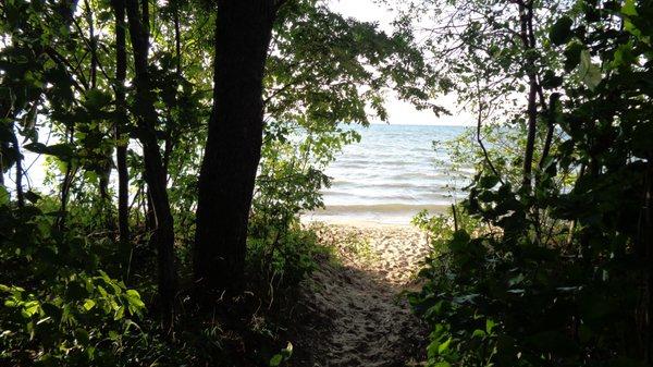 Each lakefront campsite has direct access to the beach.