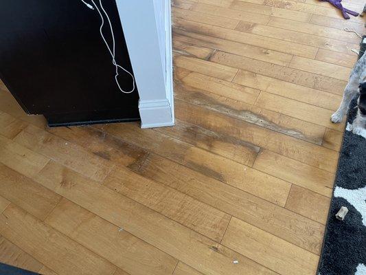 Water damage on the floor of the kitchen.