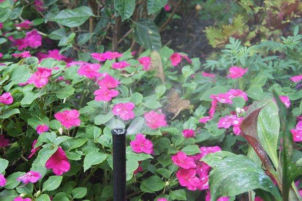 High-quality irrigation repair in Birmingham