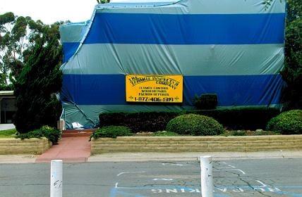 Fumigation kills 100% of termites. It may be time for one. Call us!