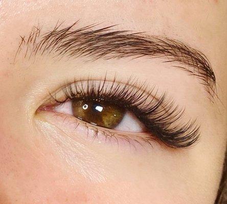 Hybrid lashes by Janelle