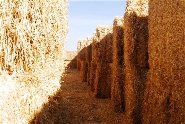 Johnstown Straw Maze