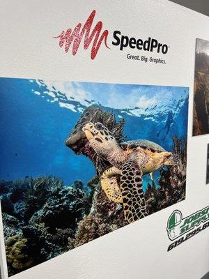 SpeedPro San Diego