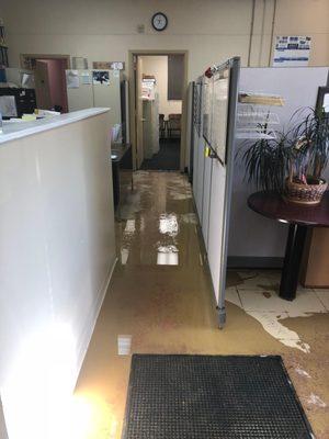 Water damage restoration is no problem for SERVPRO!