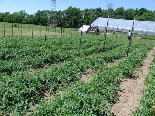 Hidden Acres Fruit Farm