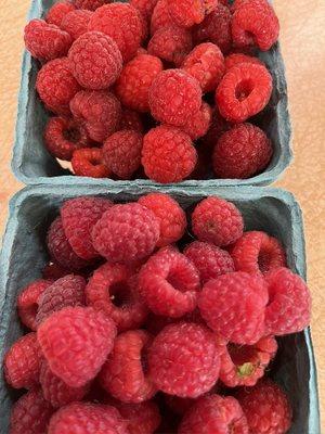 Our own fresh raspberries!