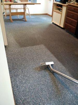 Kitchen Carpet Cleaning