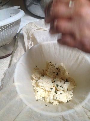 Cheese Class - draining the sage gouda.