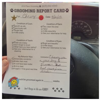 Chewie's report card after his grooming