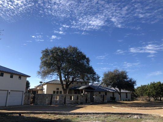 Pruning live oaks for roof clearance and removal of deadwood