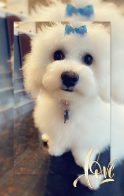 After grooming