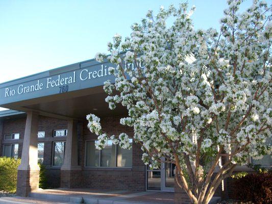 Rio Grande Federal Credit Union