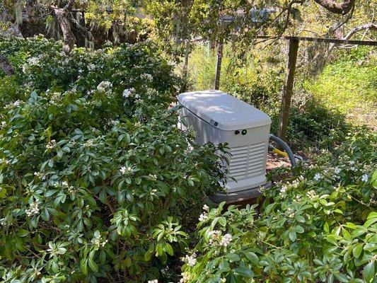 Generator Installation