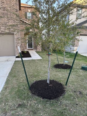 Weed pulling from garden beds Mulch work