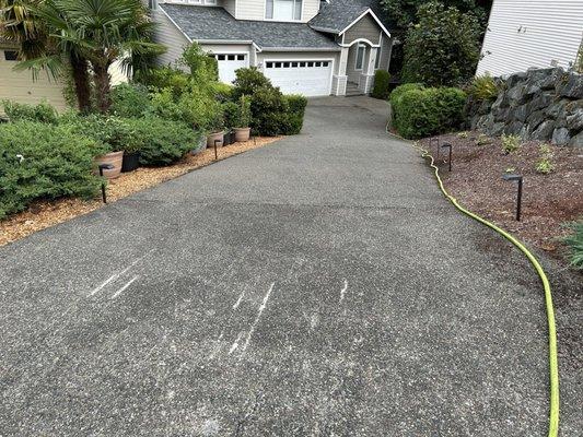 This is a before photo of my driveway before Strong improvement cleaning got it all cleaned