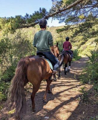 Beautiful trails!