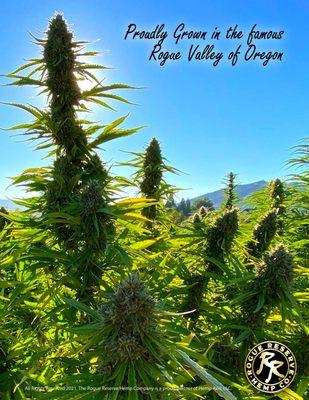 Proudly grown in the center of the Rogue Valley of Oregon.