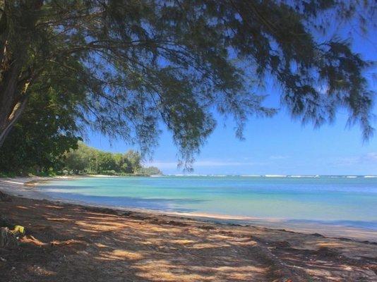 Experience a couples massage on the beach under the shade of Ironwood trees, listening to the soothing sounds of the ocean.