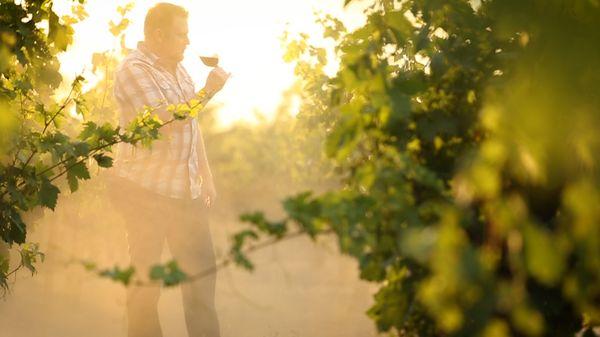 Local Winemaker, Jeff Farthing of Michael David Winery