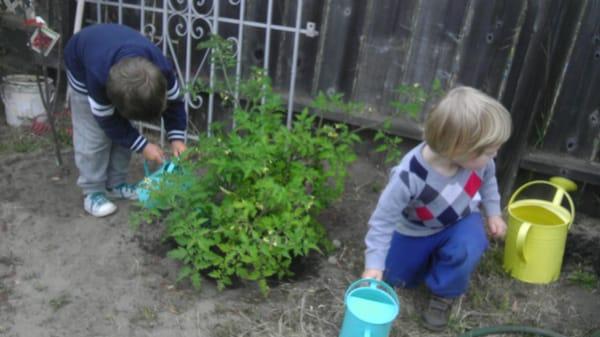 Kolobok Preschool