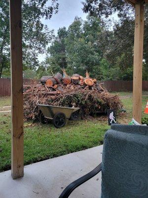 The mess that was left at my house for us to clean up after we paid Spigner money to take down a tree.