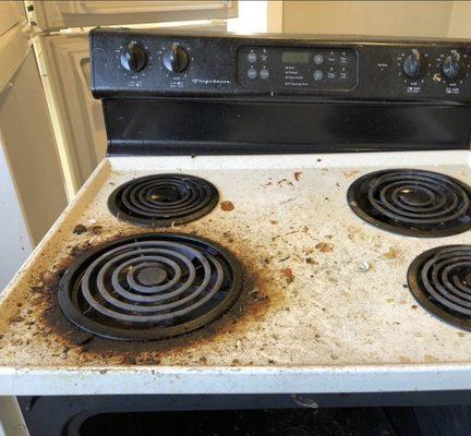 Stove before cleanup.