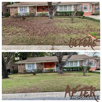 Leaf clean up before and after in Okatee Subdivision