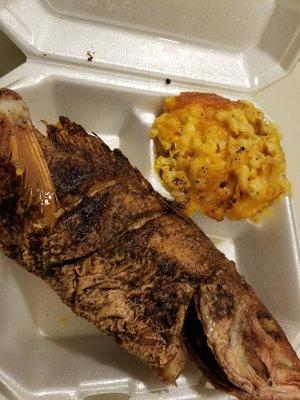 Fried snapper and macaroni and cheese