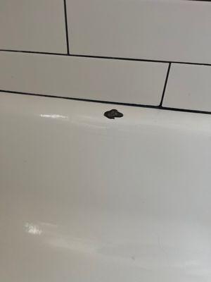 Cheap bath tub that was installed chipped when I dropped a shampoo bottle