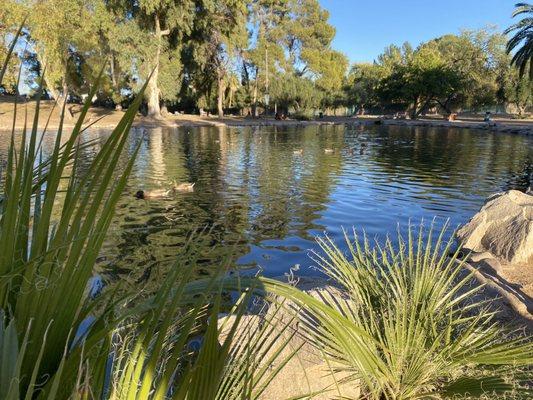 Gene Reid Park in Tucson, AZ 11/27/21