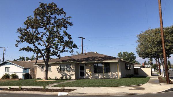 After SOD and plants installation also Magnolia tree trimming done by us!