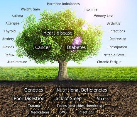 Functional Medicine