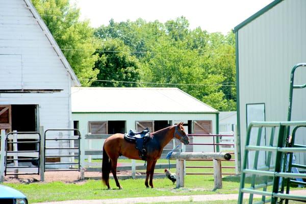 Byrnes Mill Stables